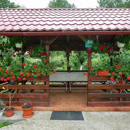 Casa Madalina Guest house Oestii Ungureni
