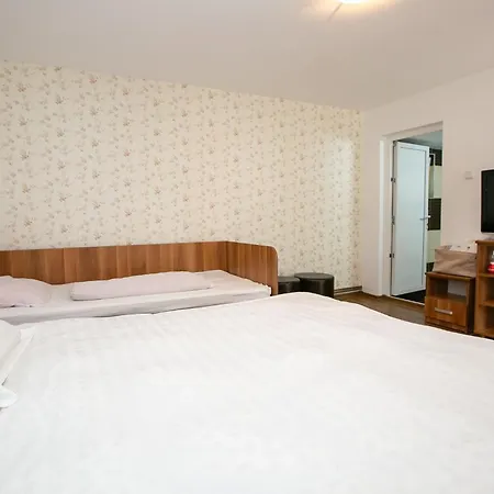 Casa Madalina Guest house Oestii Ungureni