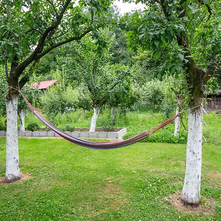 Guest house Casa Madalina *