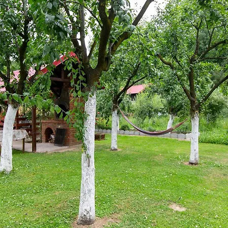 Casa Madalina * Oestii Ungureni